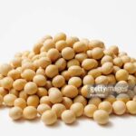 USDA exports – Mexico buys corn, unknown buys soybeans